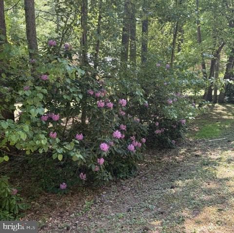 809 Salisbury Park Road photo 17