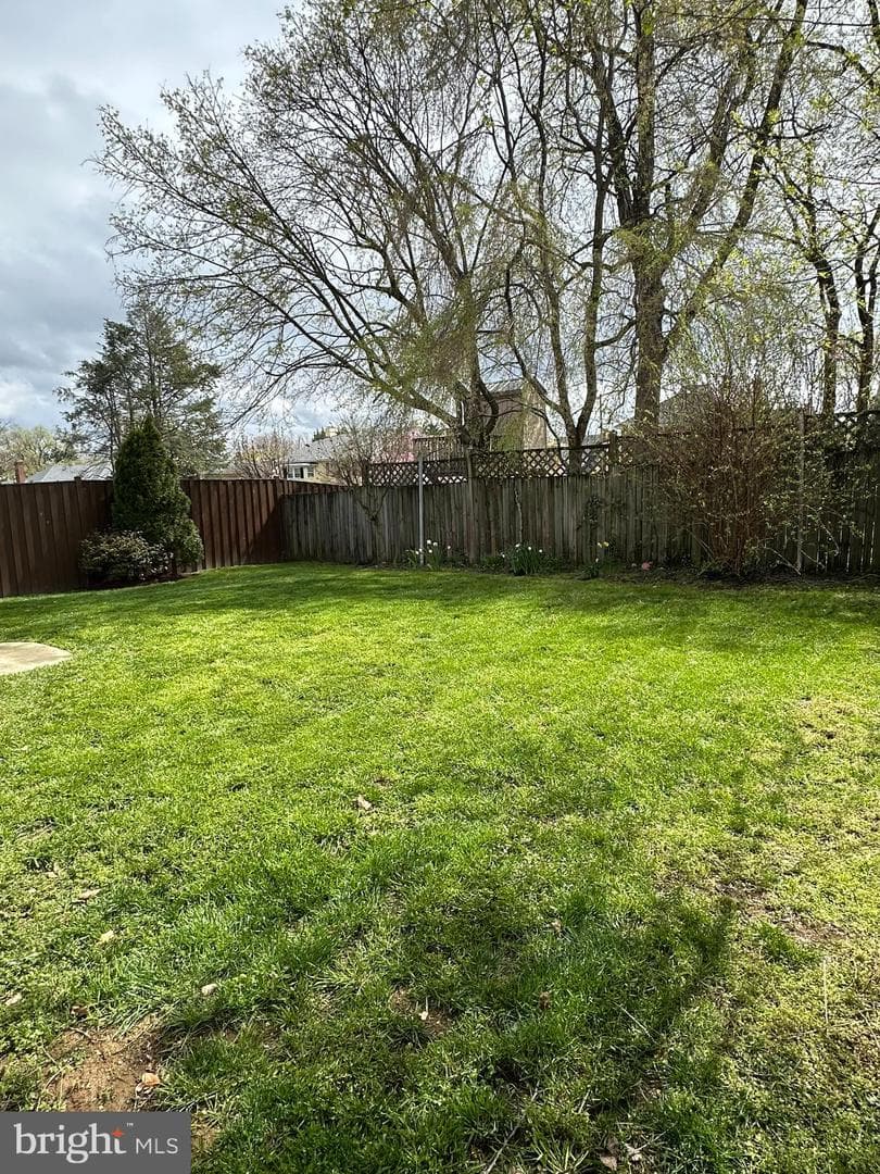 419 W Cecil Street photo 33