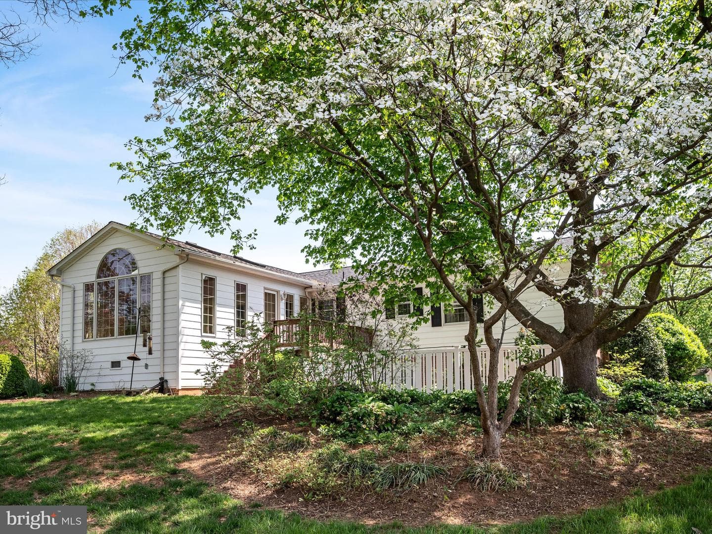 303 Walker Street photo 48