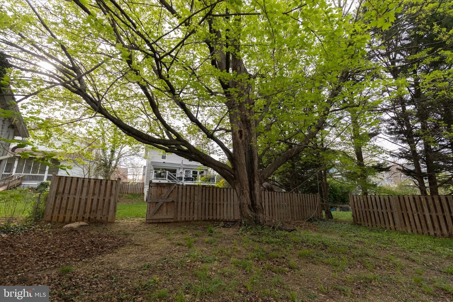 256 Parkway Street photo 35