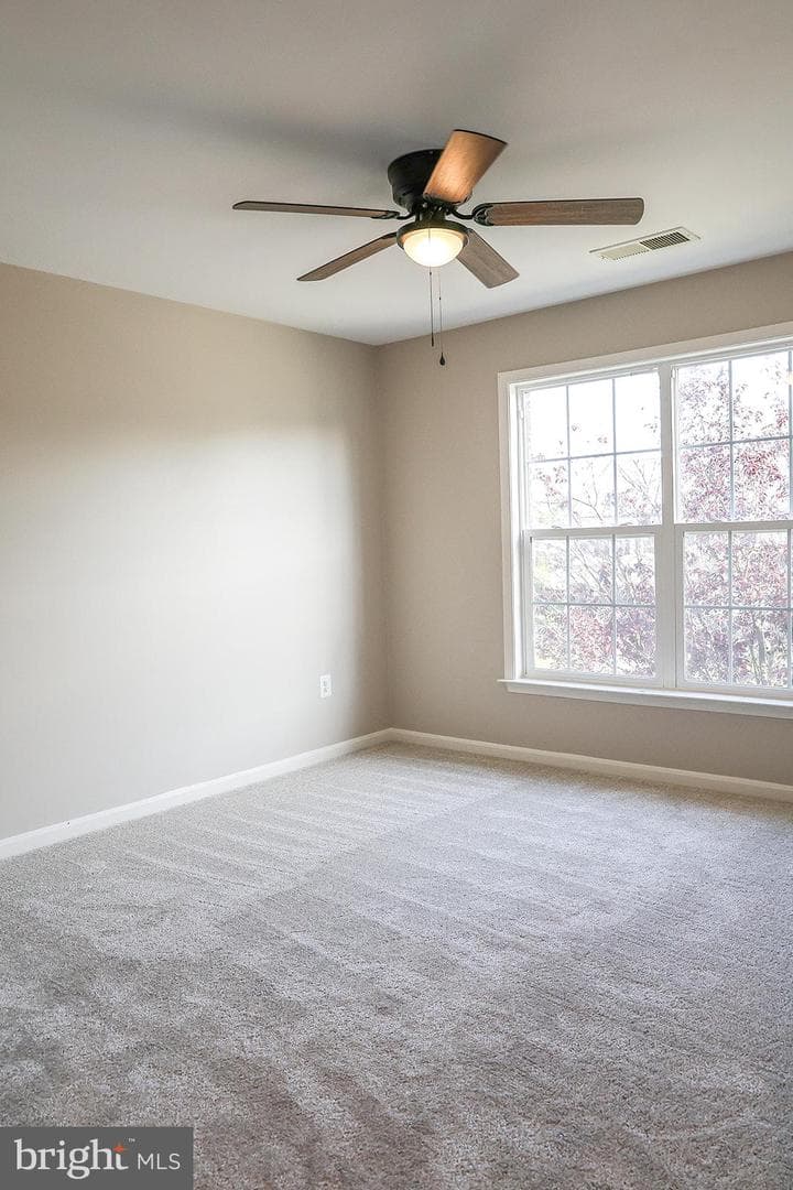 720 Beehive Way photo 32