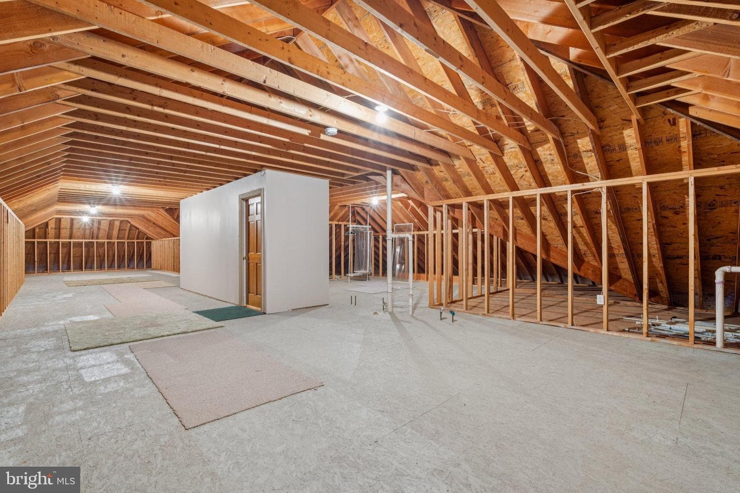 1205 Caroline Street photo 44