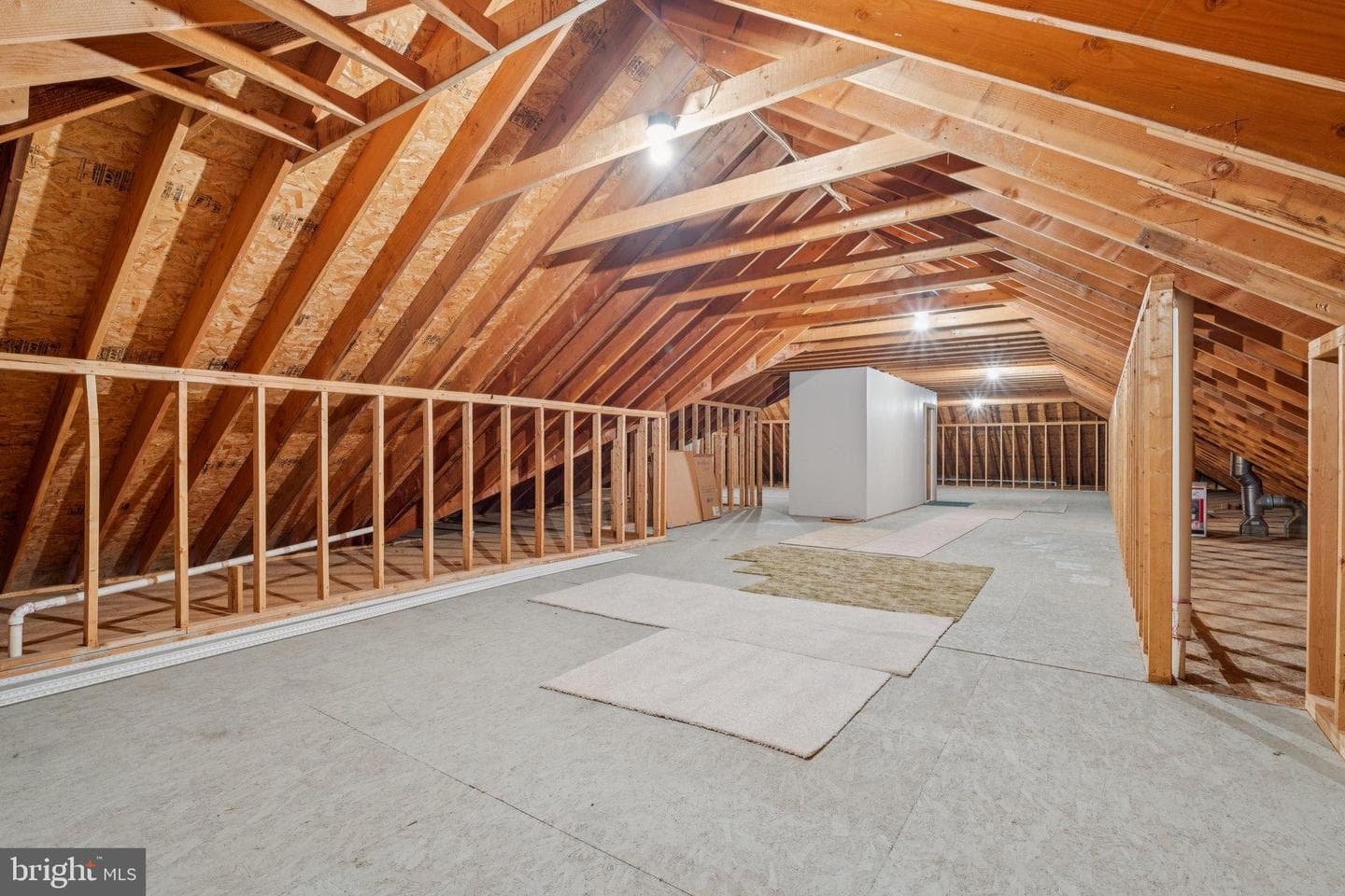 1205 Caroline Street photo 45