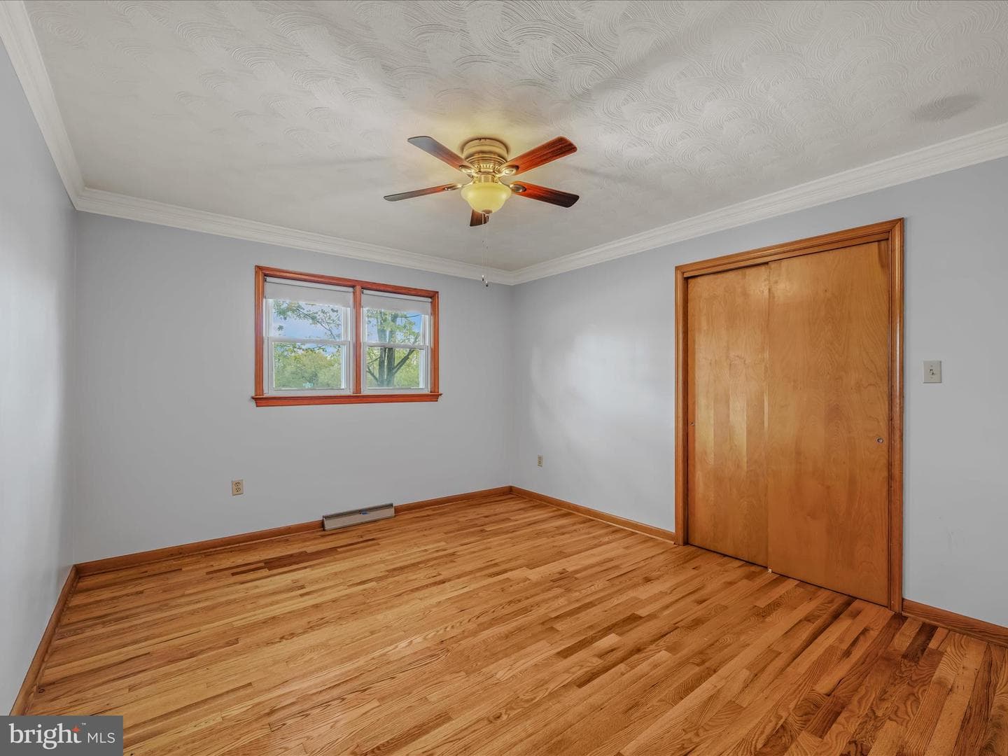 461 Imperial Street photo 16