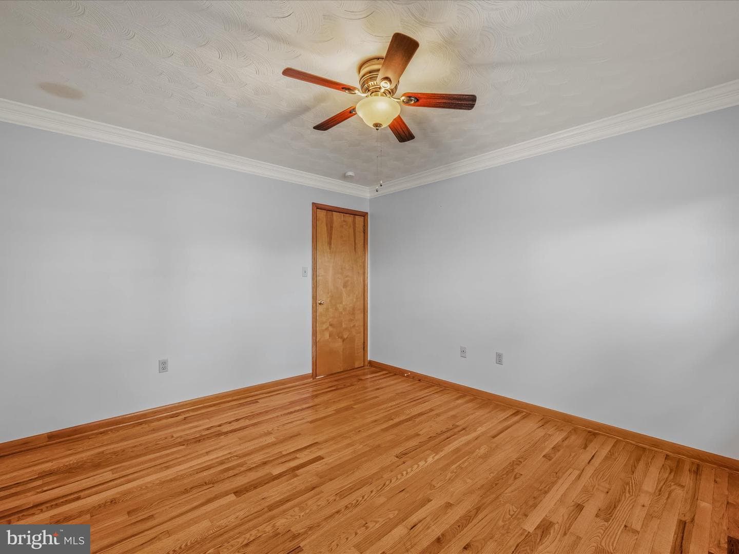 461 Imperial Street photo 17