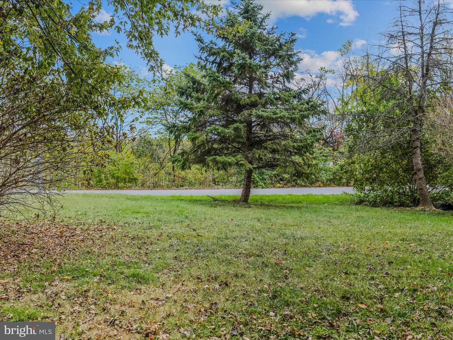 461 Imperial Street photo 36