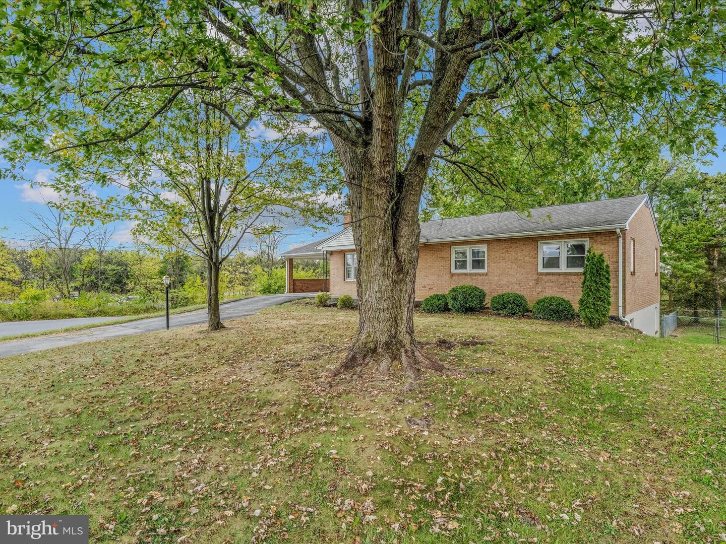 461 Imperial Street photo 46