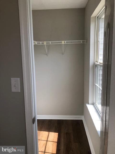 2918 Sorrell Court photo 8
