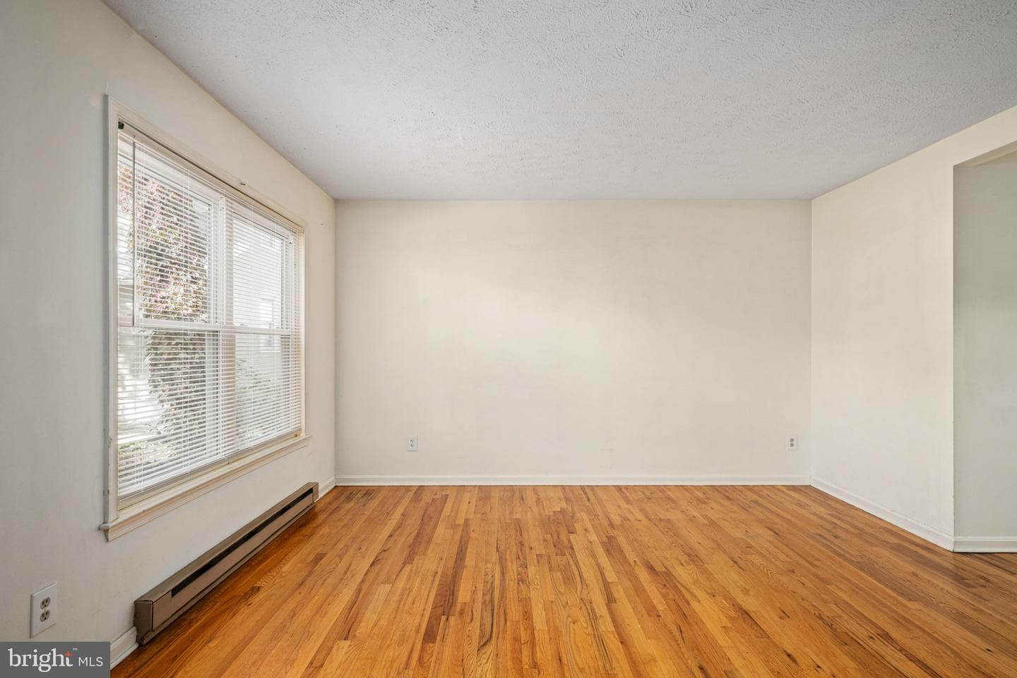 26 Jackson Avenue photo 38
