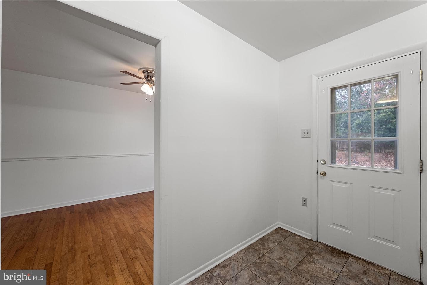 127 Shirley Street photo 14