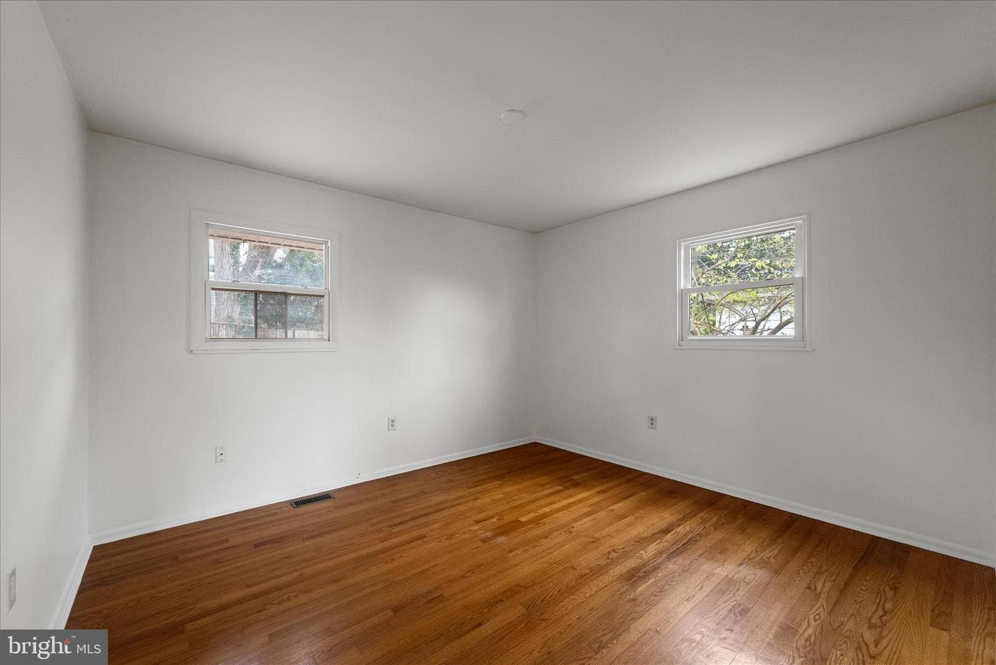 127 Shirley Street photo 16