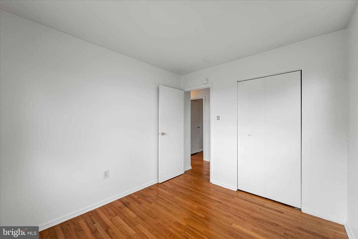 127 Shirley Street photo 19