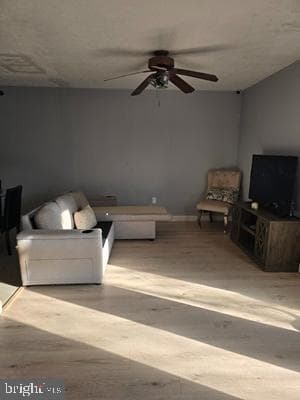 2967 Sorrell Court photo 4
