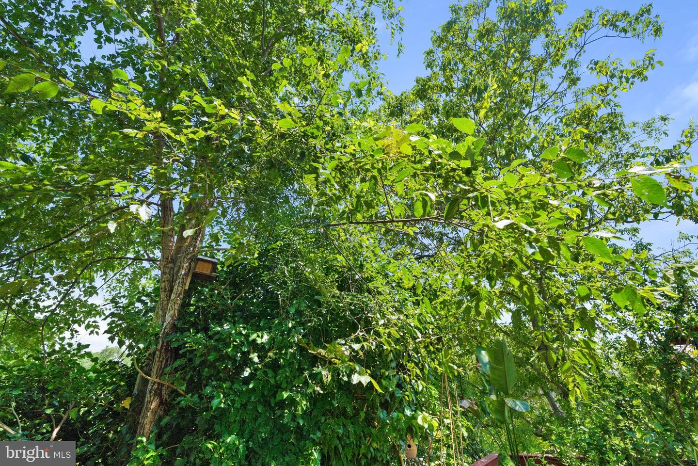 720 S Kent Street photo 81