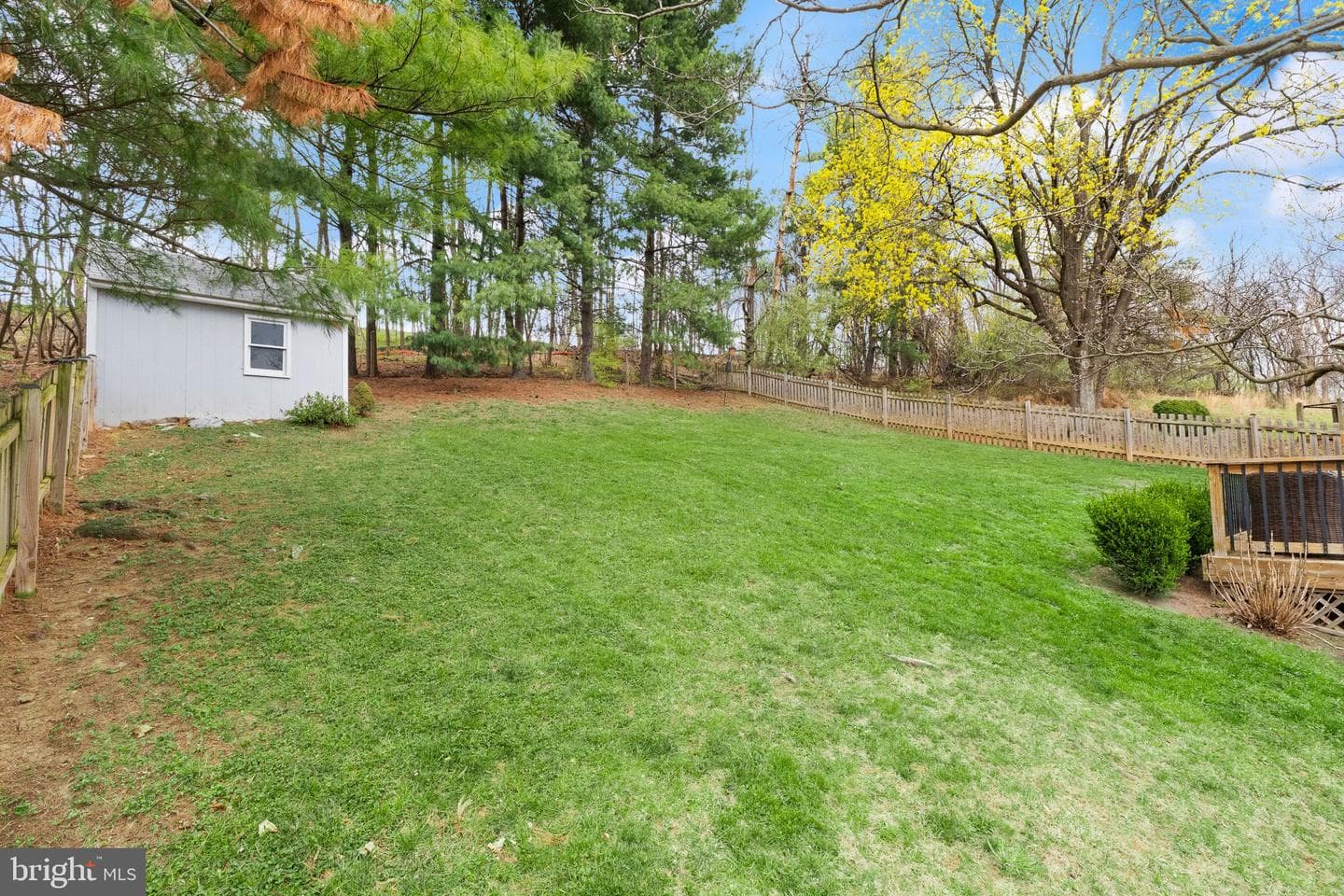 413 George Street photo 46