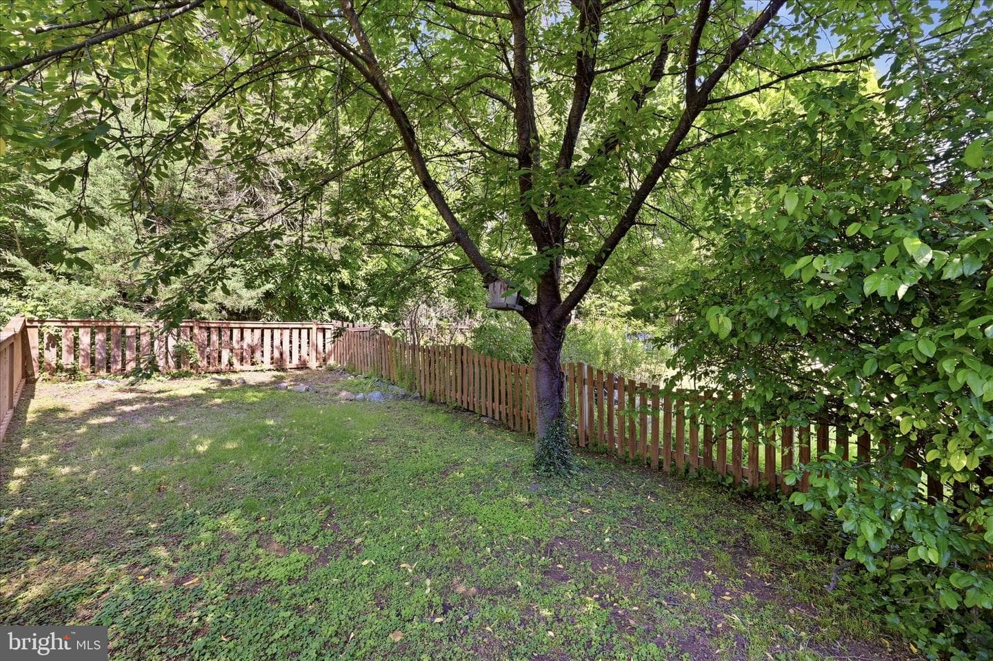 1423 Greystone Ter photo 36