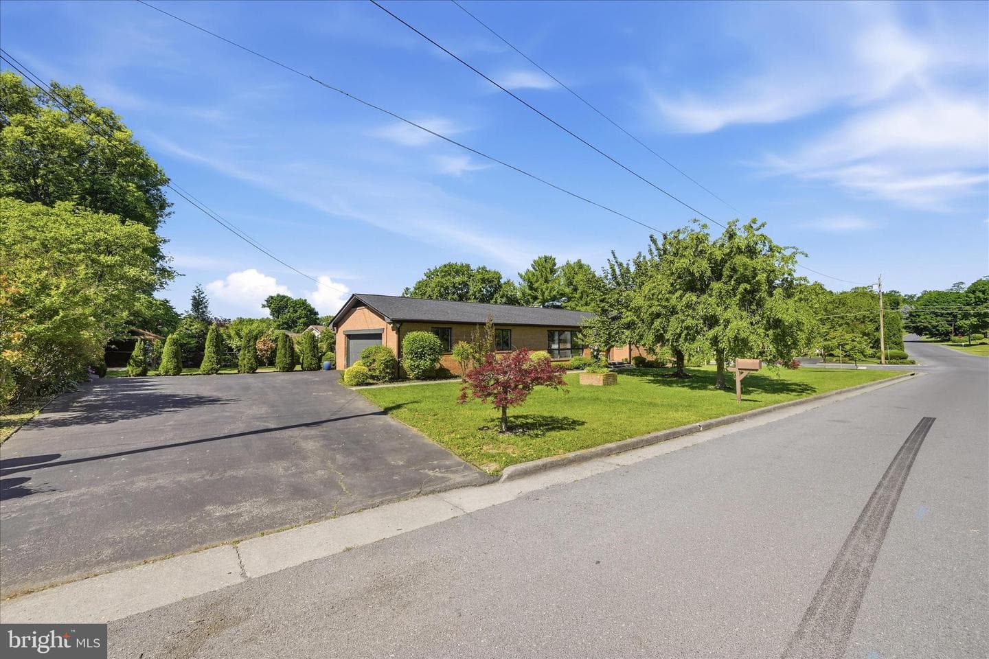 1317 Caroline Street photo 3