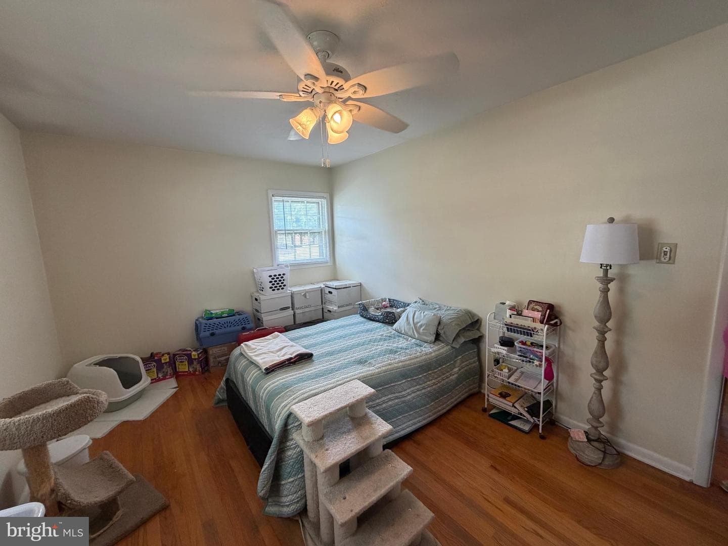 302 Wentworth Drive photo 19