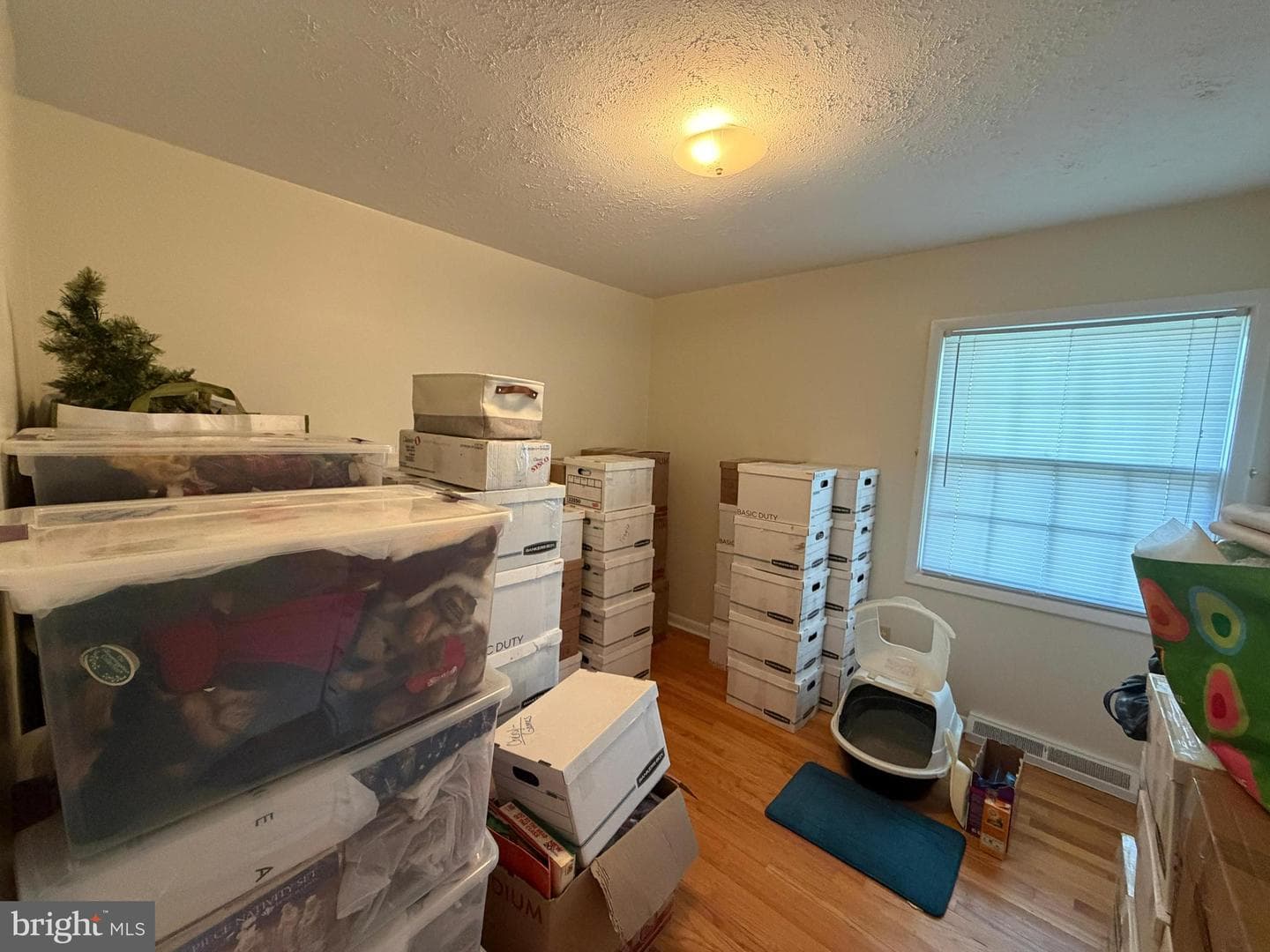 302 Wentworth Drive photo 22