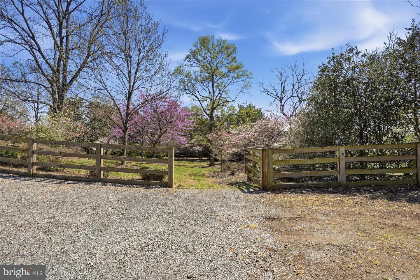 466 Merrimans Lane photo 67