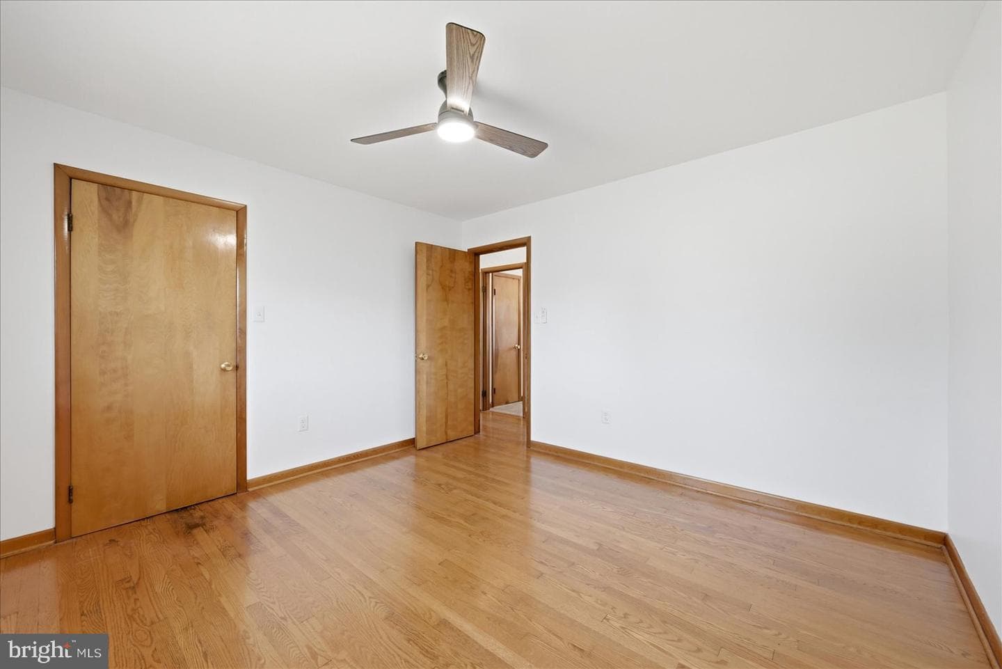 101 Locust Avenue photo 19