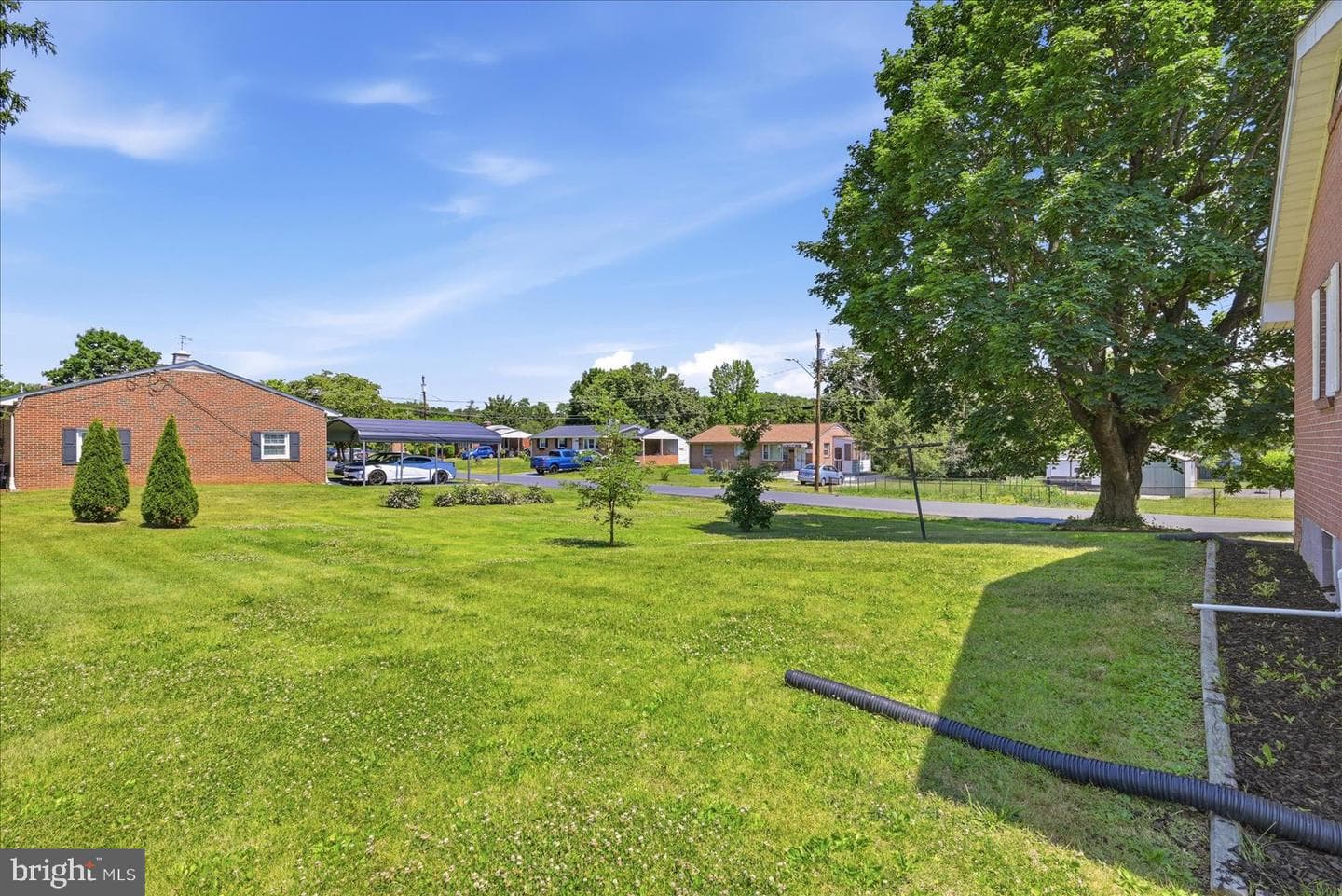 101 Locust Avenue photo 45