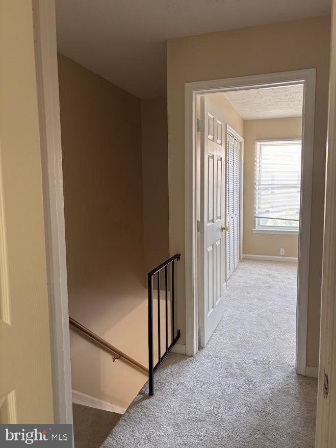 313 Avon Court photo 14