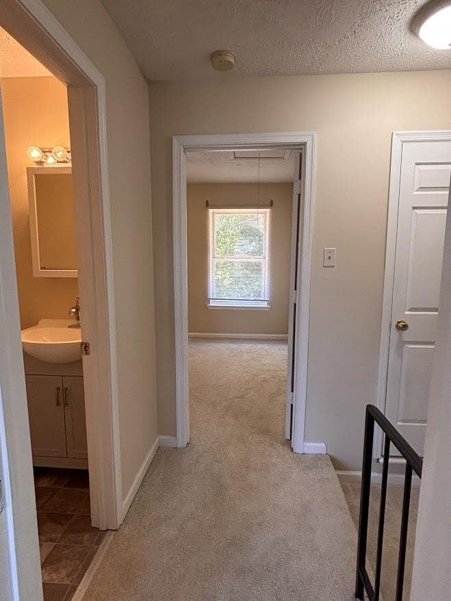 313 Avon Court photo 17