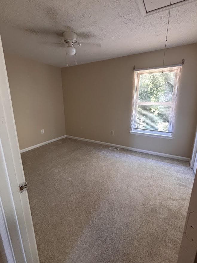 313 Avon Court photo 18