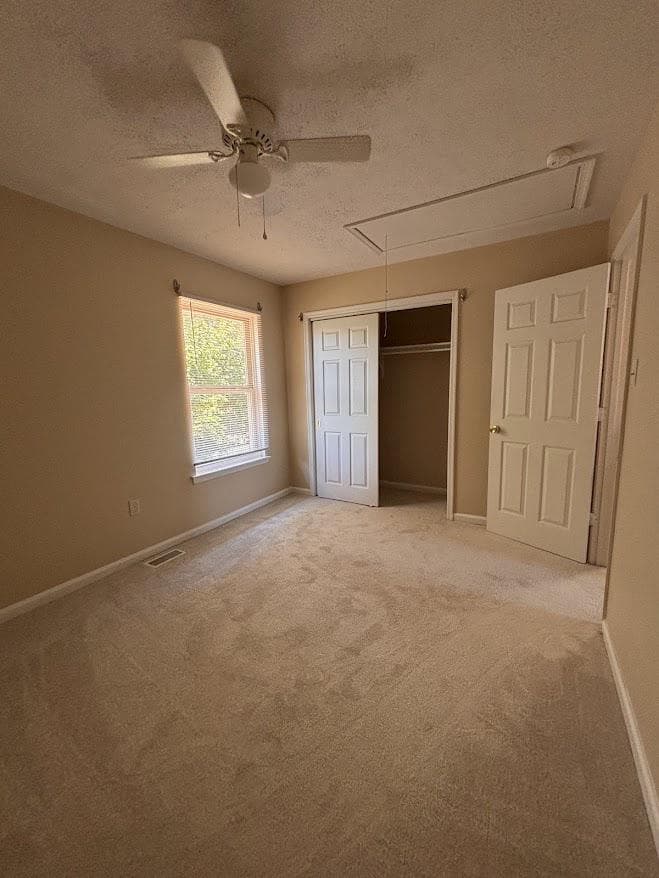 313 Avon Court photo 19