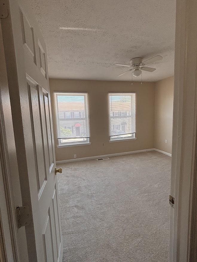 313 Avon Court photo 20