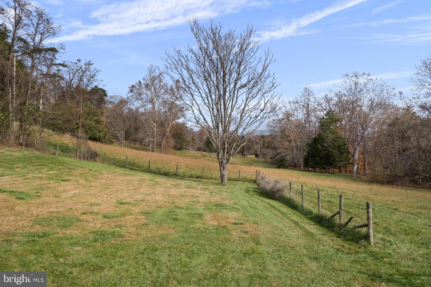 1528 Gooney Manor Loop photo 11