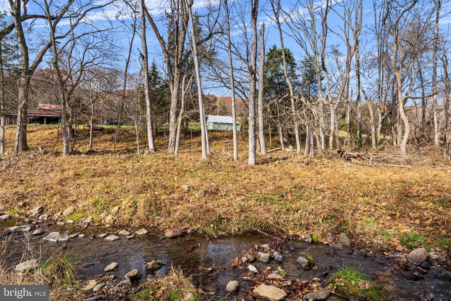 1528 Gooney Manor Loop photo 6