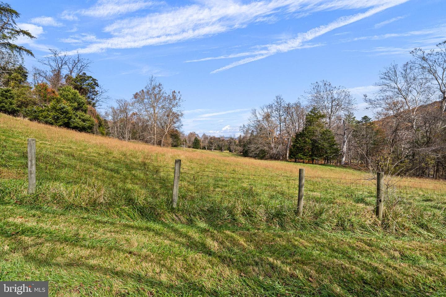 1528 Gooney Manor Loop photo 65