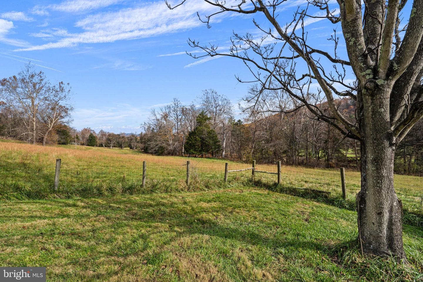 1528 Gooney Manor Loop photo 66