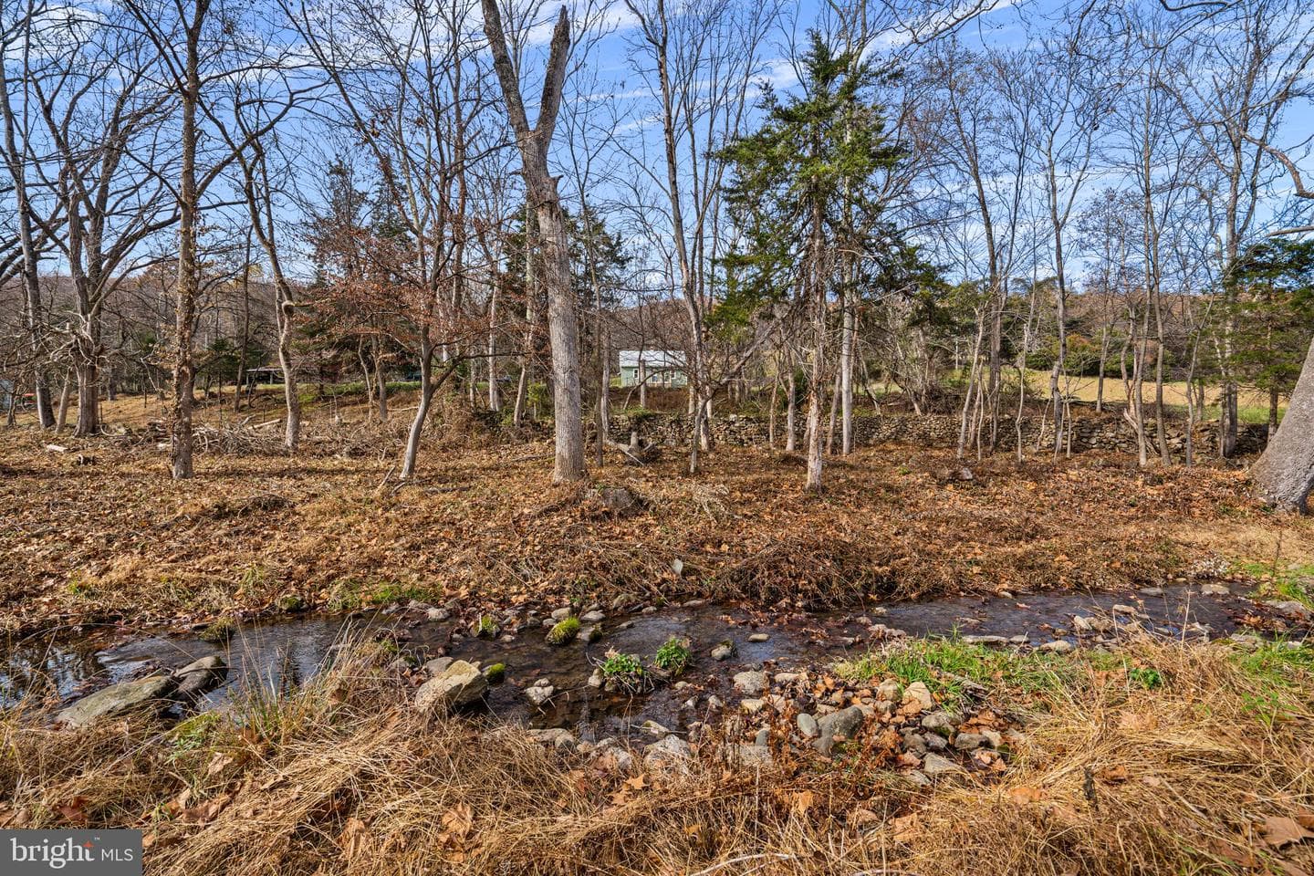 1528 Gooney Manor Loop photo 68