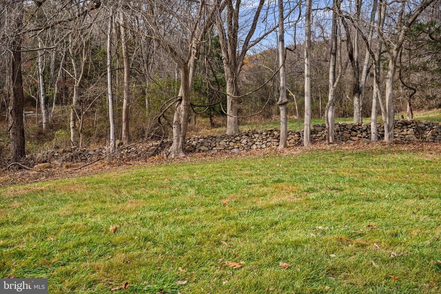 1528 Gooney Manor Loop photo 80