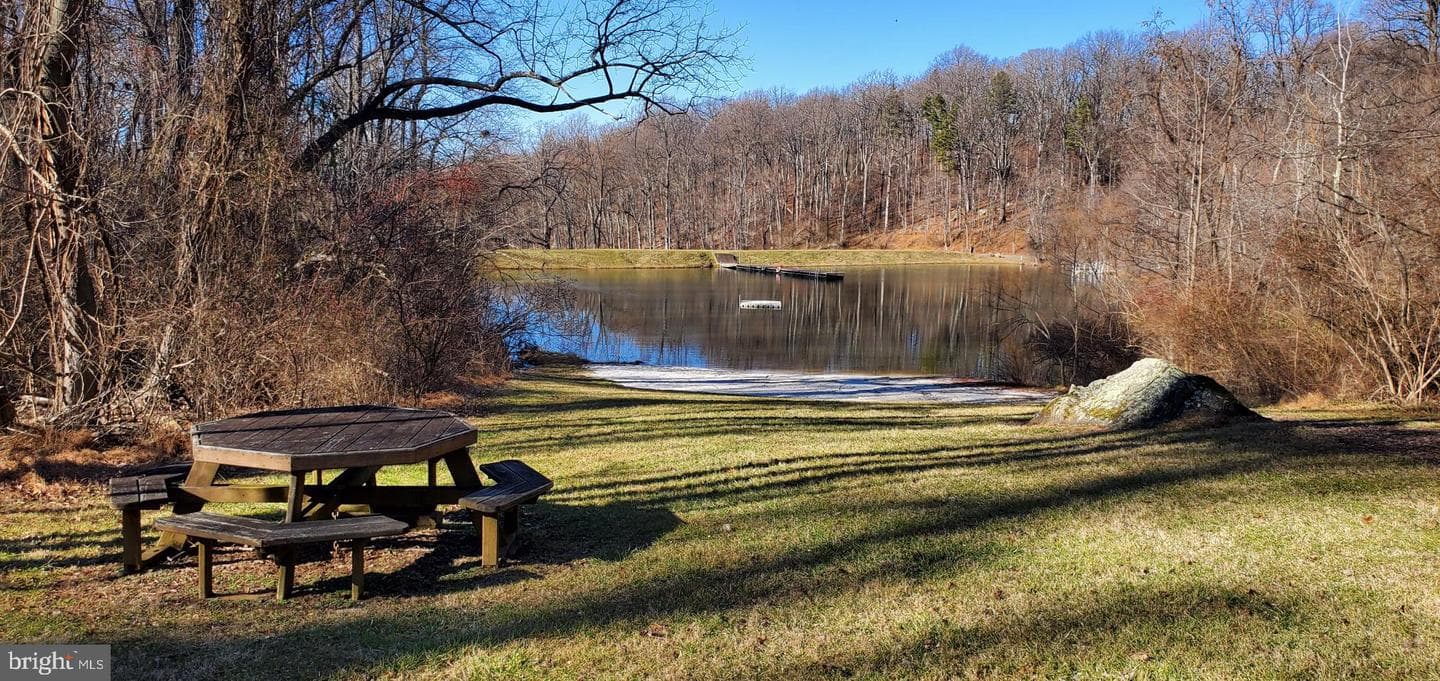 4421 Blue Mountain photo 57