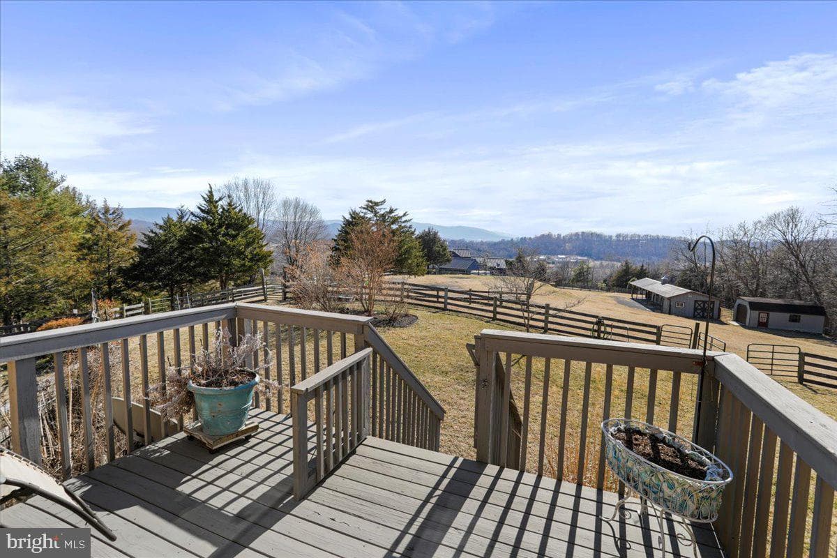 240 Cavalli Court photo 16