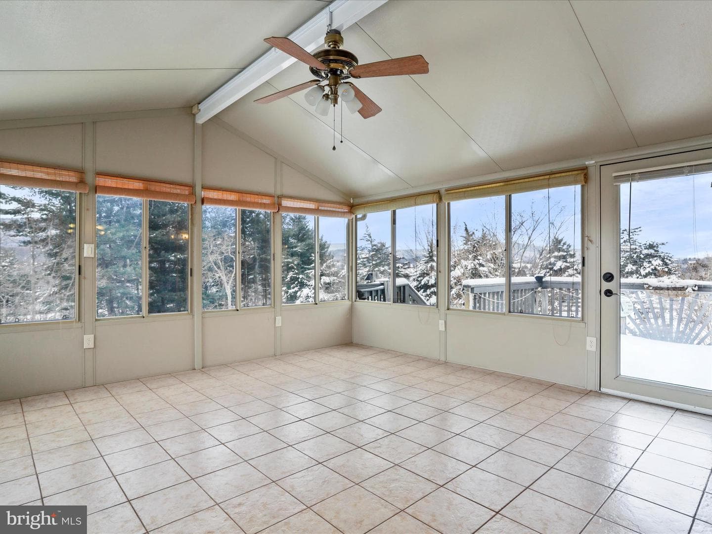 240 Cavalli Court photo 18