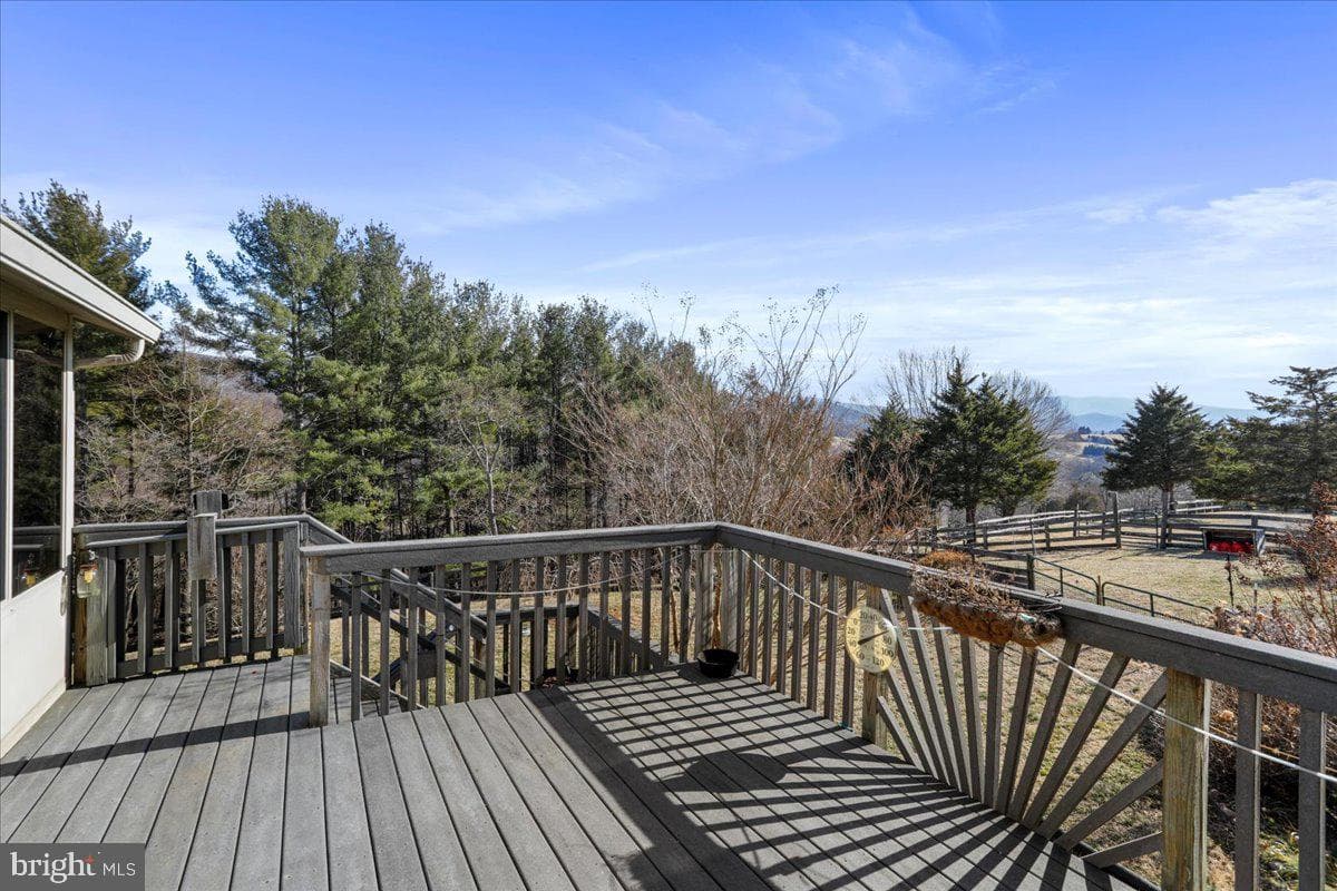 240 Cavalli Court photo 20