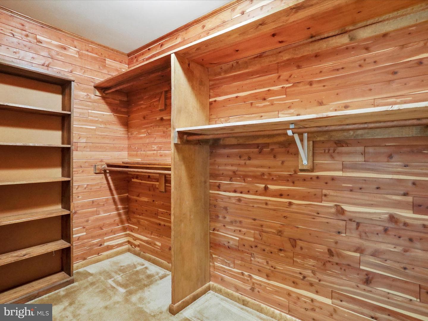 240 Cavalli Court photo 22