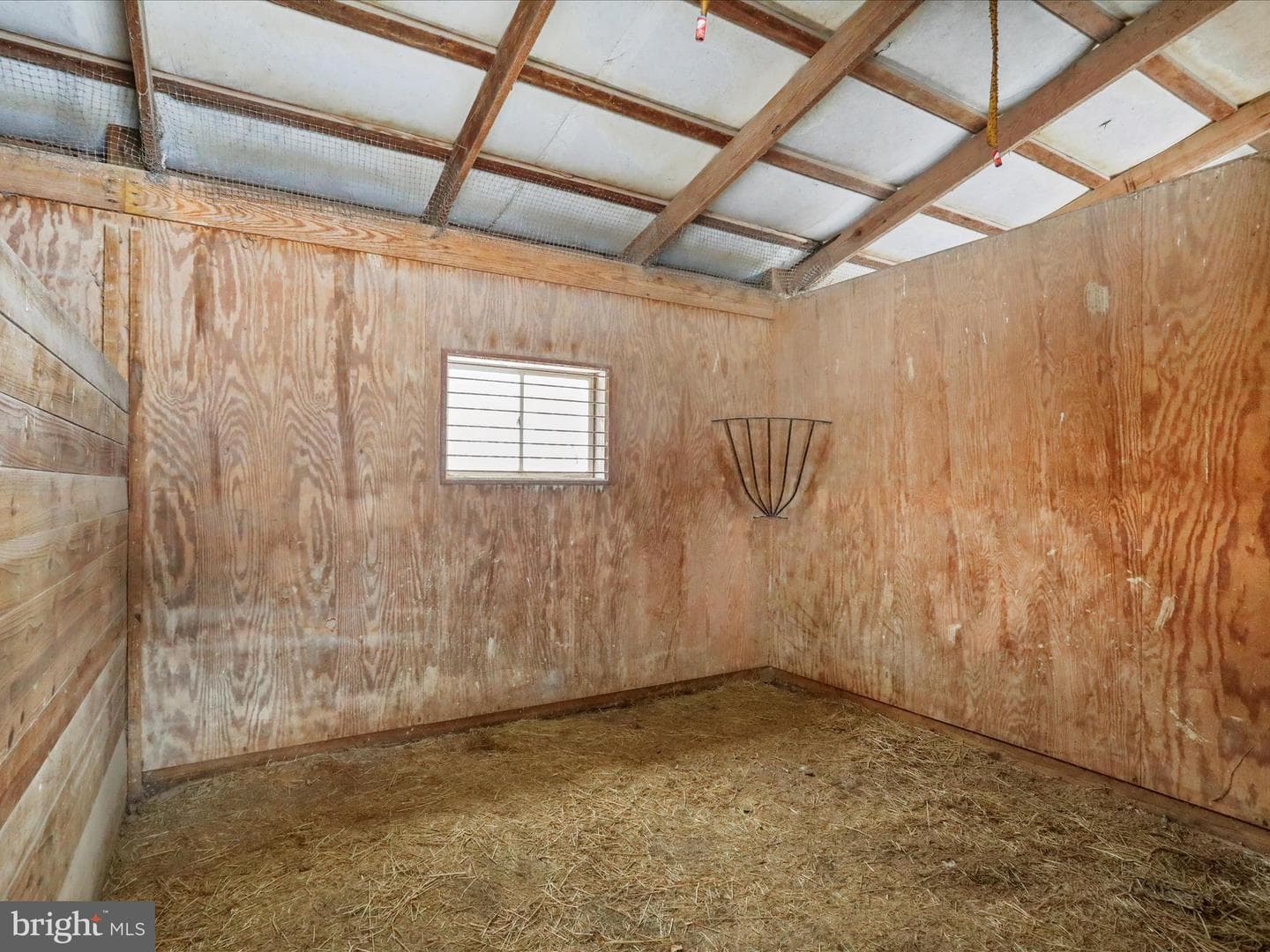 240 Cavalli Court photo 40