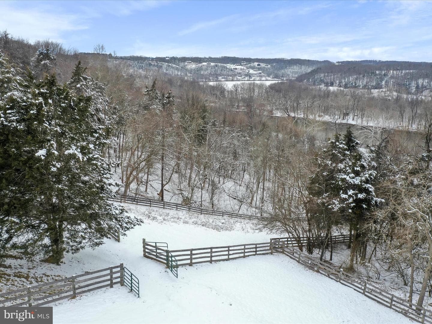 240 Cavalli Court photo 49