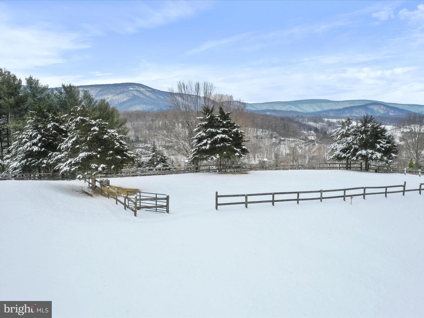 240 Cavalli Court photo 52