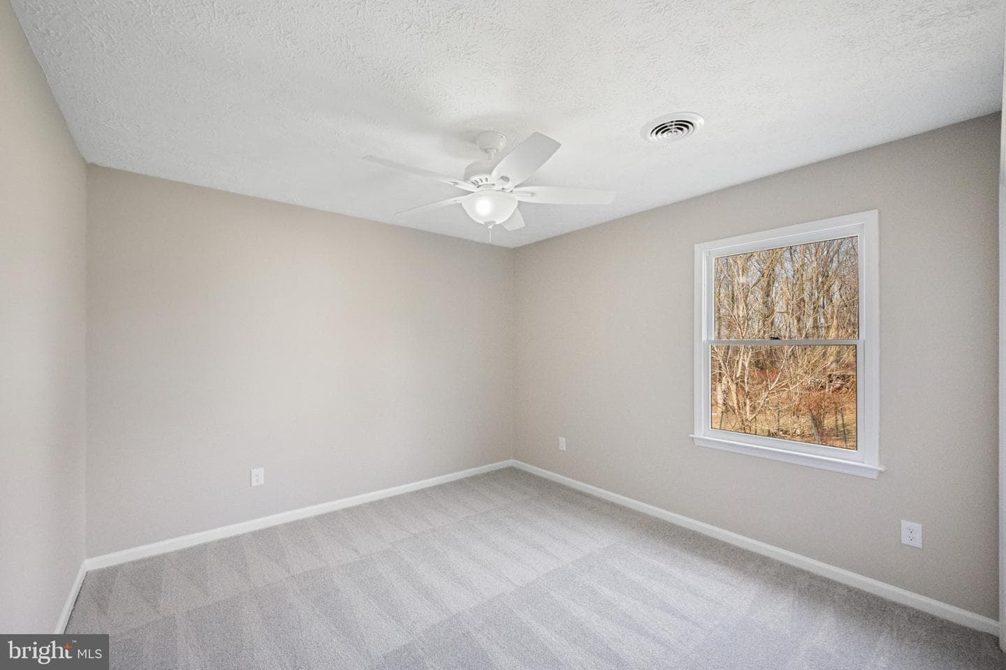 41 Cherrywood Road photo 15