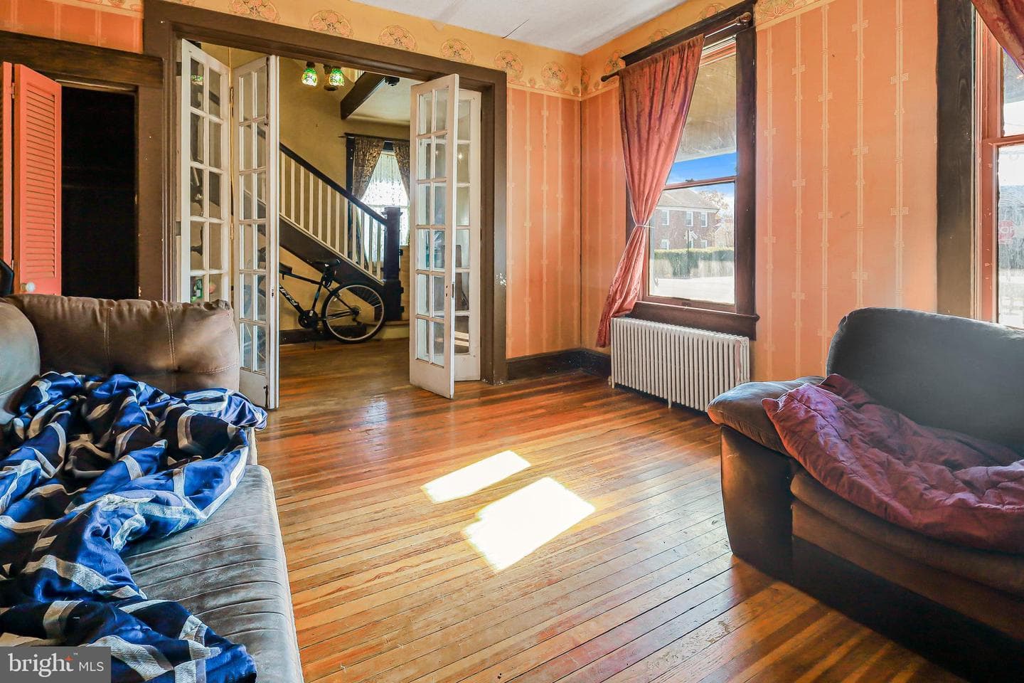 203 Chester Street photo 7