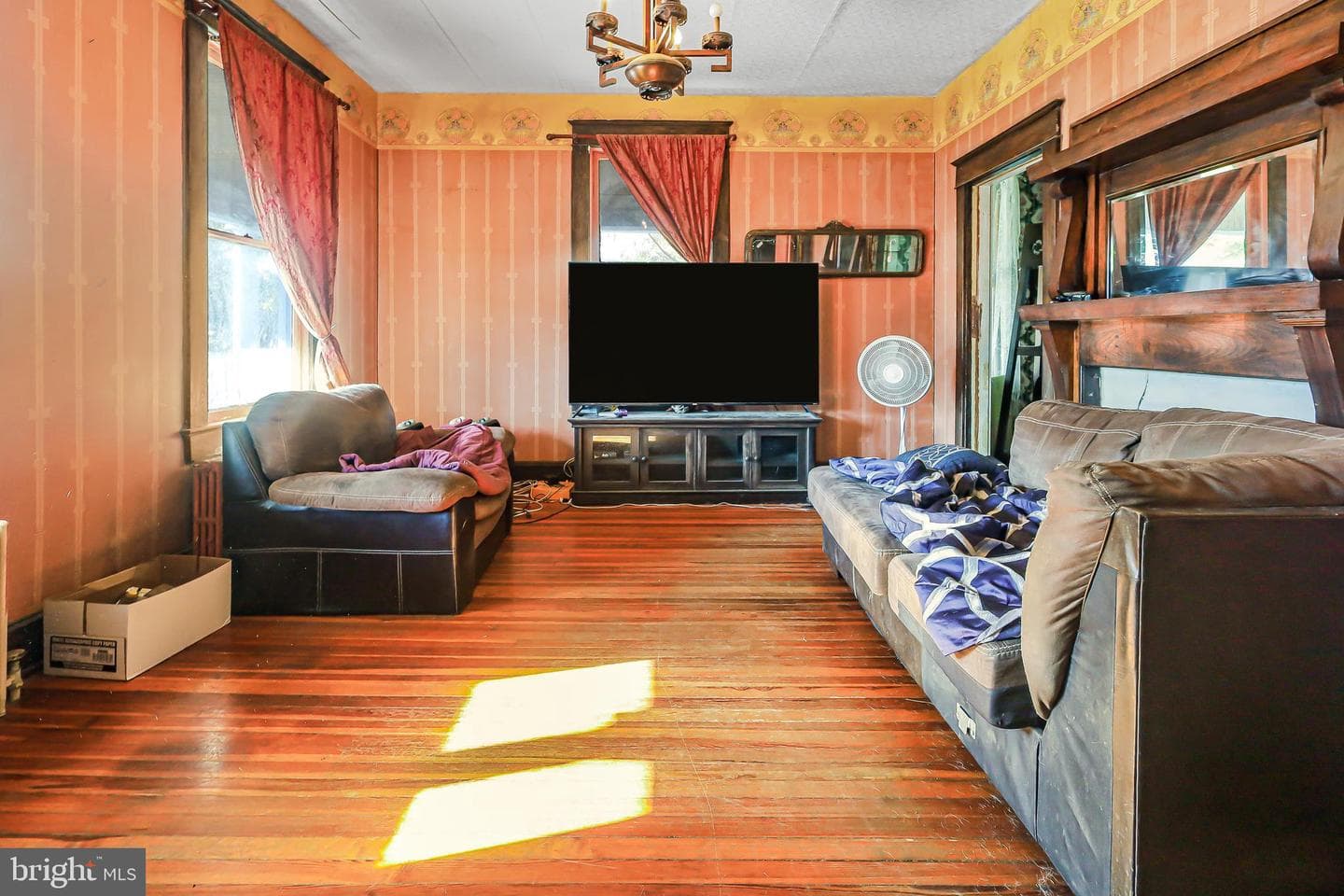 203 Chester Street photo 8