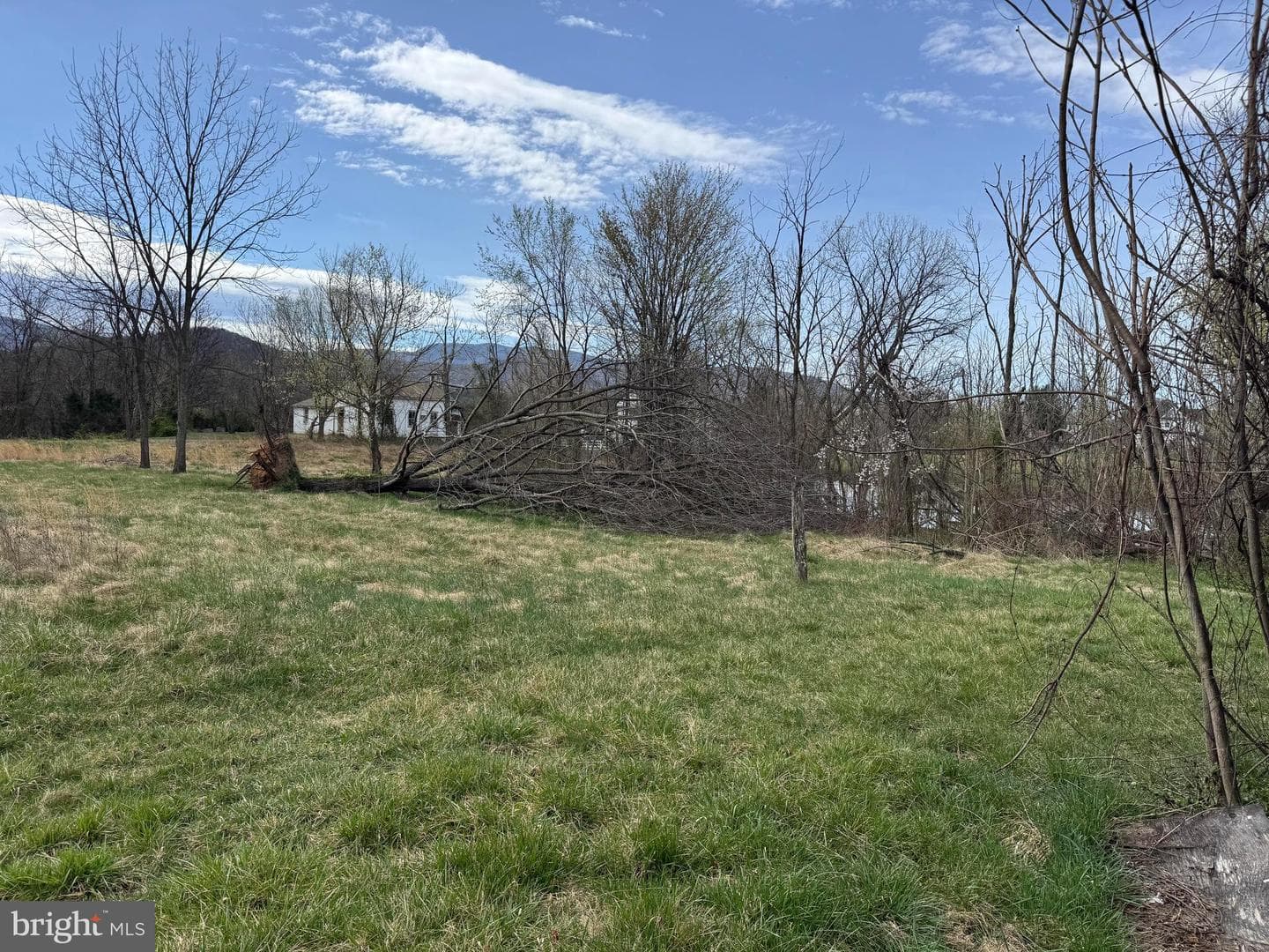 32 Walters Lane photo 4