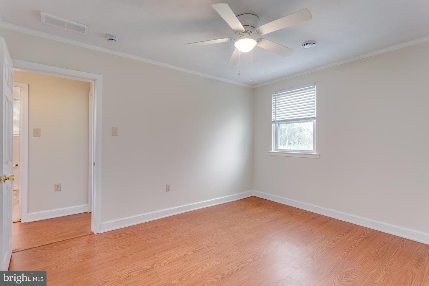6233 Strasburg Road photo 17